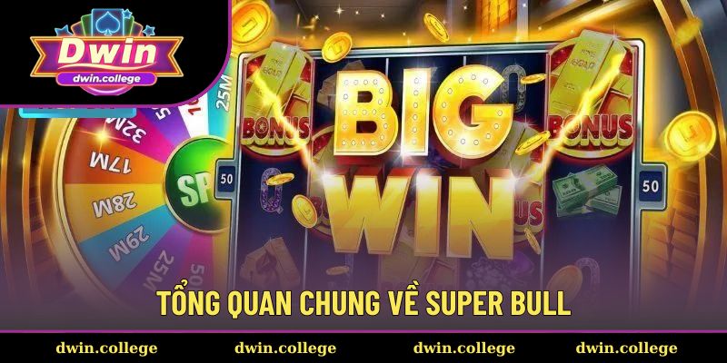 Những nét chính về chuyên mục super bull